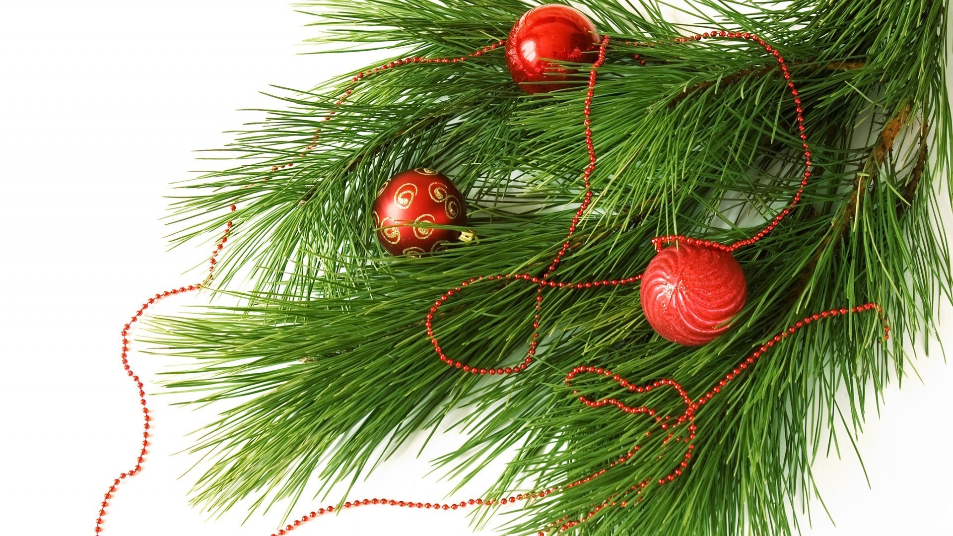 nuovo anno natale pino decorazione inverno vacanza stagione evergreen abete albero ago abete palla desktop carta conifere splende ramo colore isolato