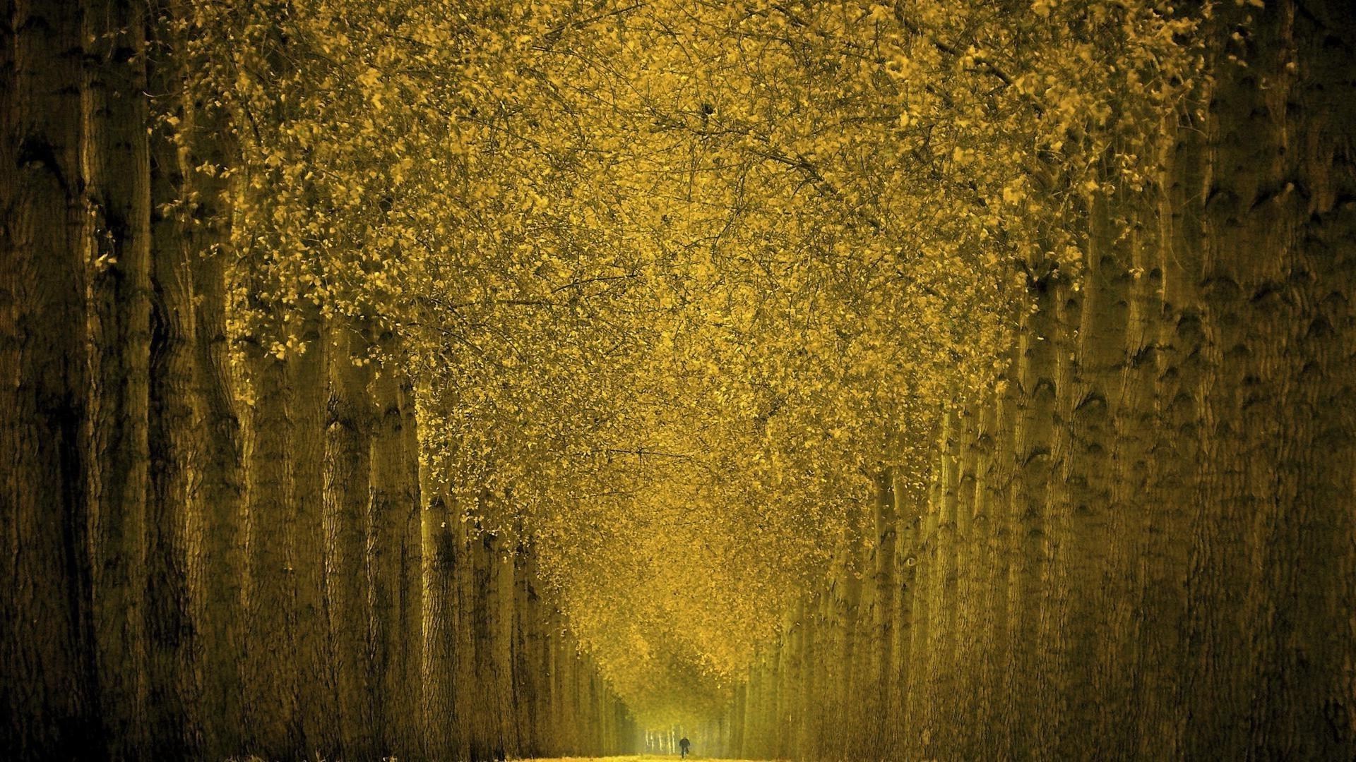 autunno desktop astratto scuro sporco vecchio struttura vintage retro parete carta da parati ruvido antico autunno arte suolo