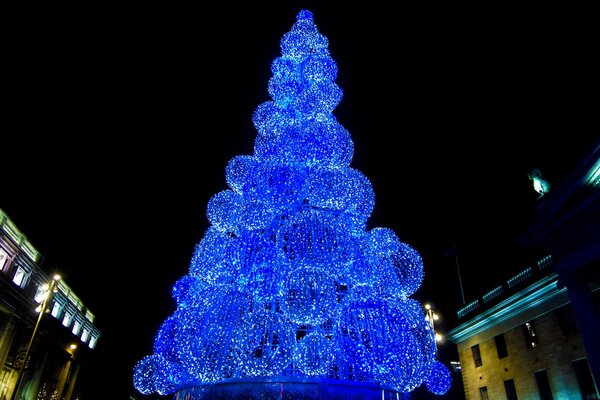 Albero di Natale all aperto fatto di palline blu luminose