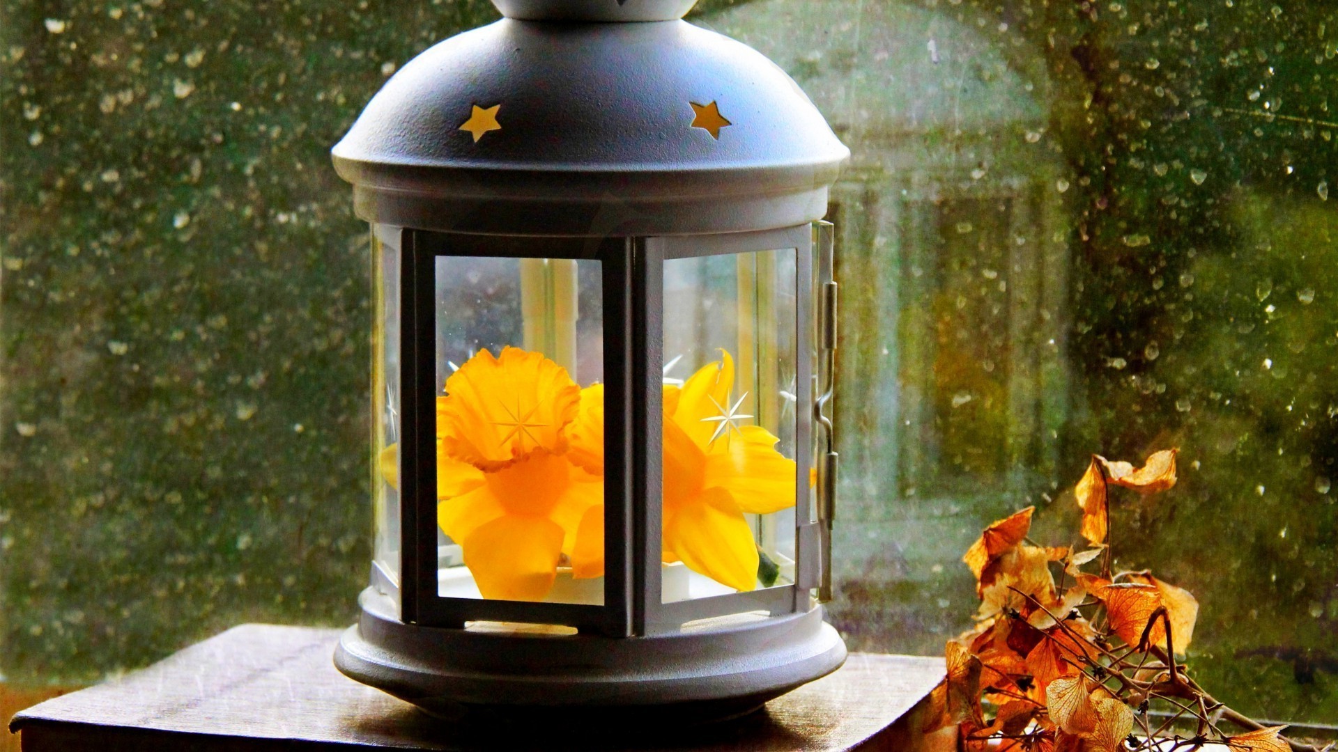 foglie fiore legno lanterna tavolo decorazione luce luce del giorno