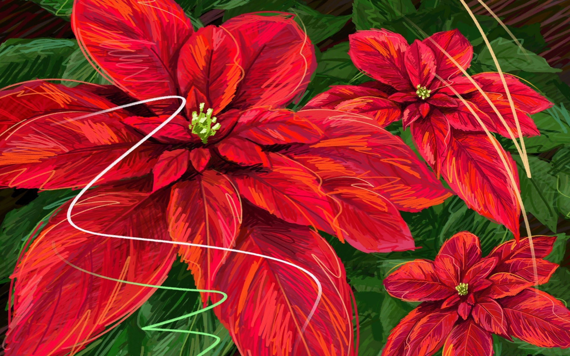 natale natura fiore flora foglia giardino di estate floreale bella petalo di colore decorazione fioritura tropicale vivid botanico stagione di crescita