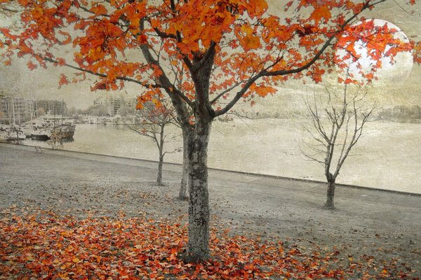 Autunno foglia caduta paesaggio di Halloween