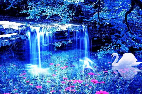 I movimenti dell acqua e il cigno riposa sotto questa spruzzata di neon e luce