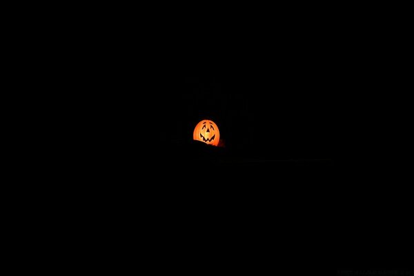 Zucca luminosa su sfondo nero