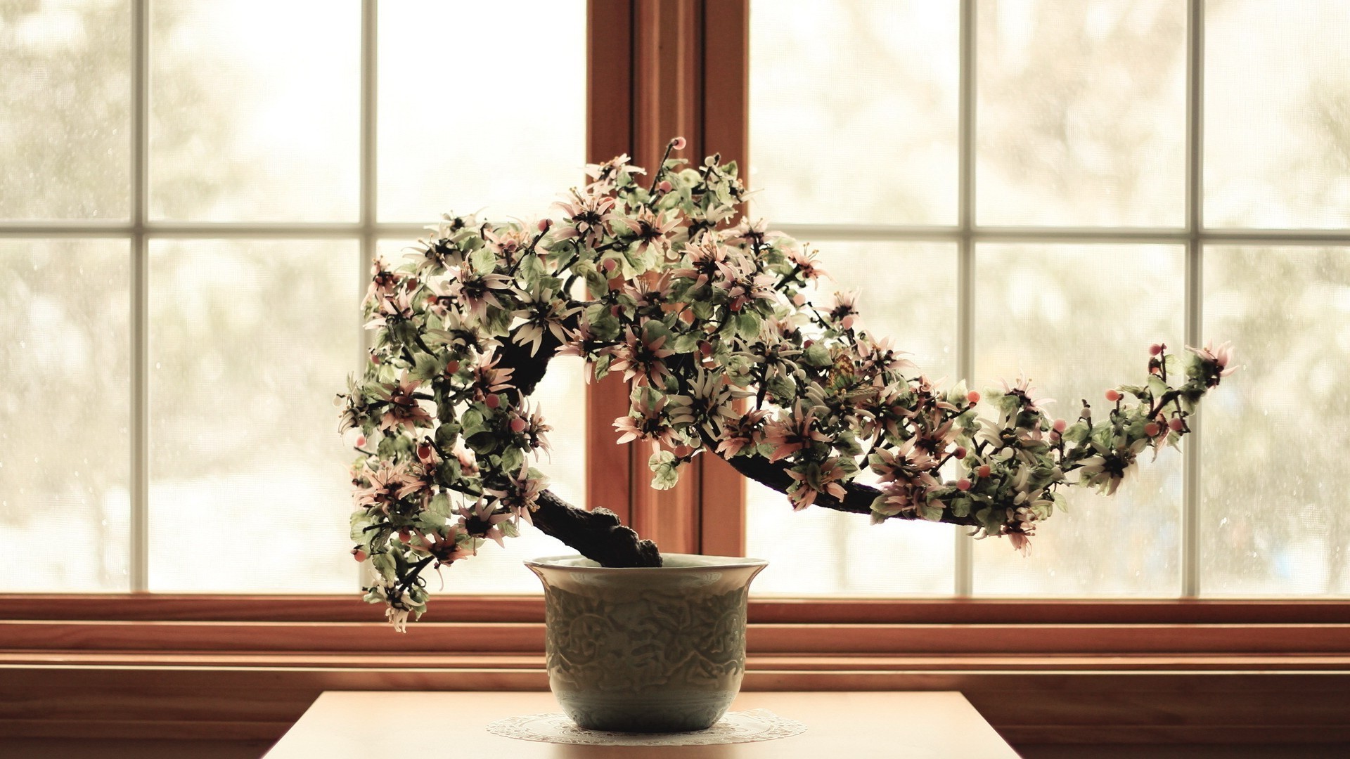 fiori sugli alberi finestre vaso fiore interno casa pianta d appartamento vaso flora vaso mobili giardino decorazione patio interior design camera famiglia foglia vetro fioriera