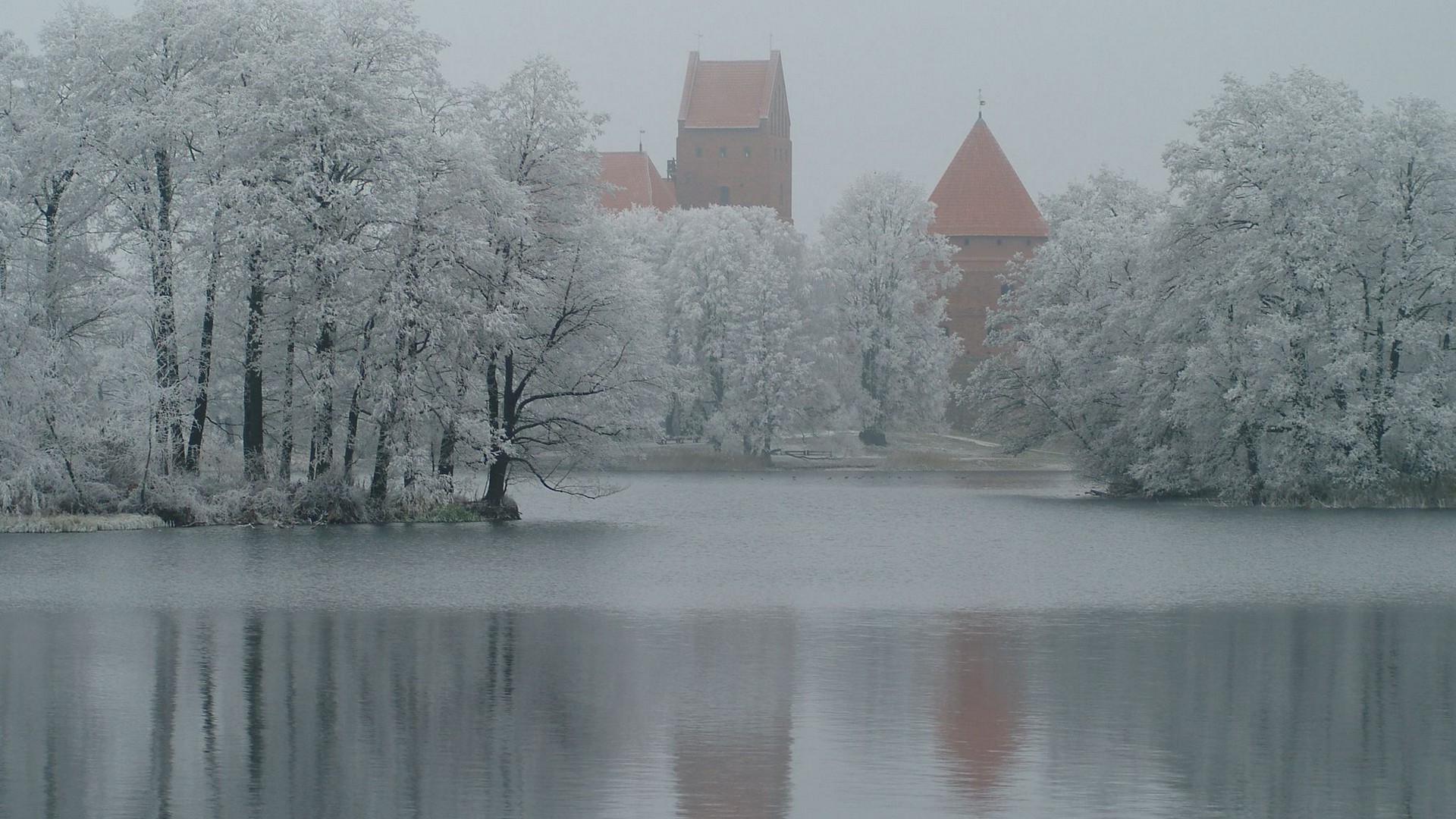 inverno neve freddo gelo ghiaccio albero congelato nebbia paesaggio legno meteo gelido alba acqua nebbia scenico natura riflessione