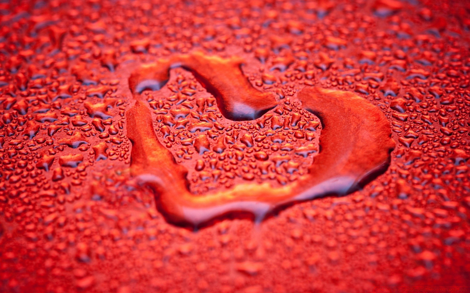 san valentino desktop cibo struttura primo piano astratto modello cuore colore forma bagnato