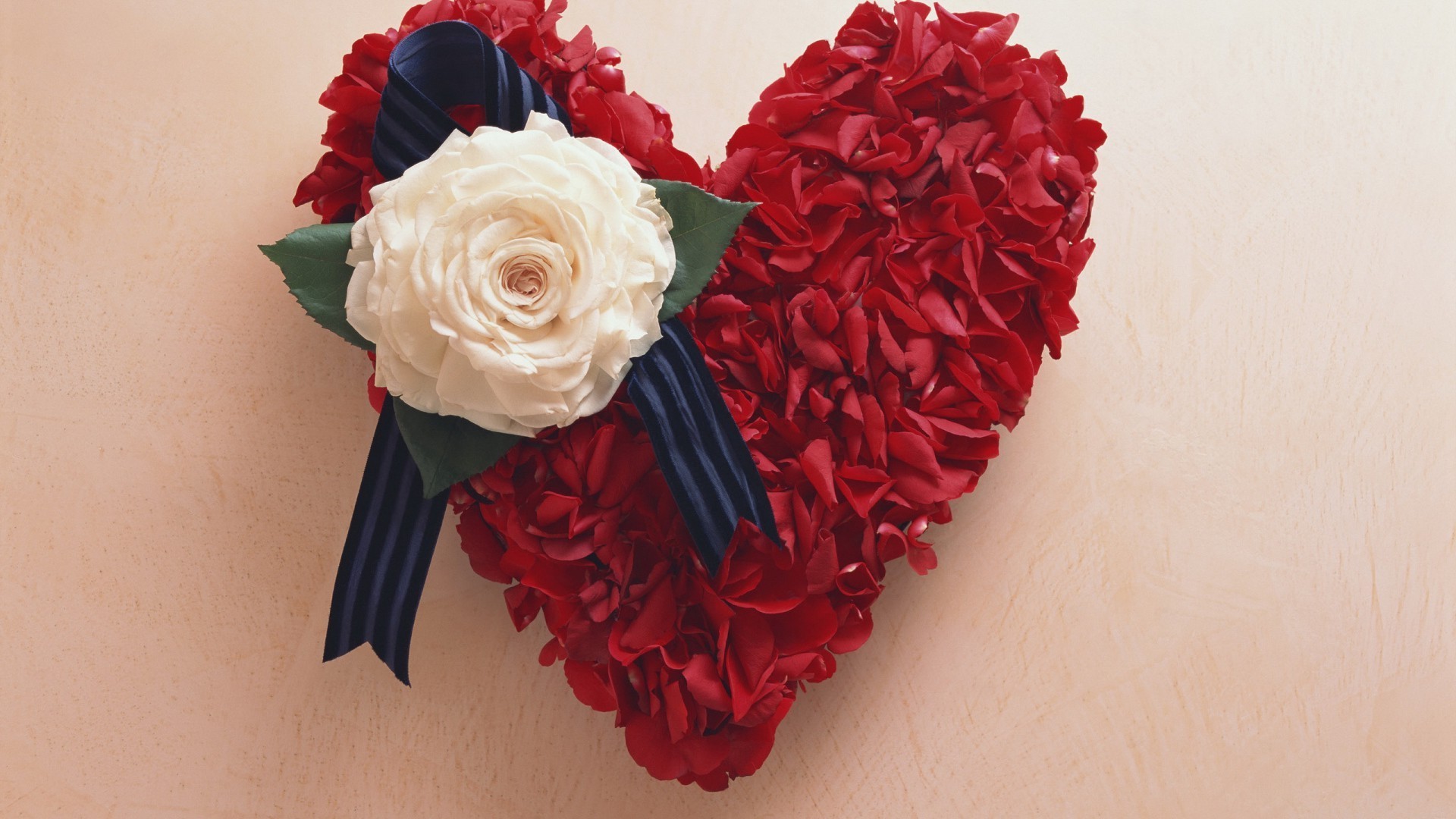 cuori rosa amore fiore romanticismo matrimonio regalo romantico petalo decorazione floreale vacanza bouquet bella
