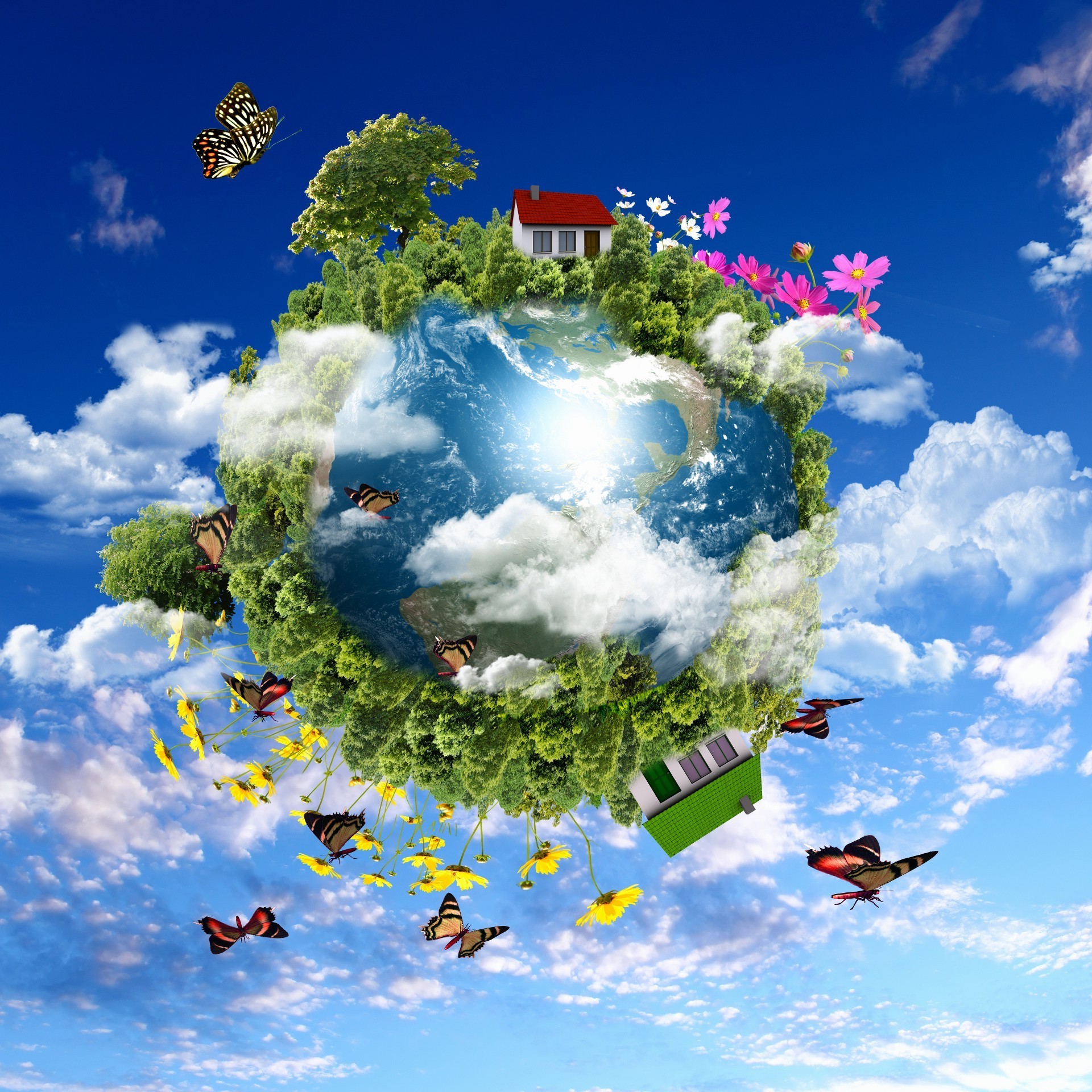 insetti cielo natura nuvola estate all aperto sferica a forma di palla ambiente desktop libertà bel tempo colore stagione sole simbolo