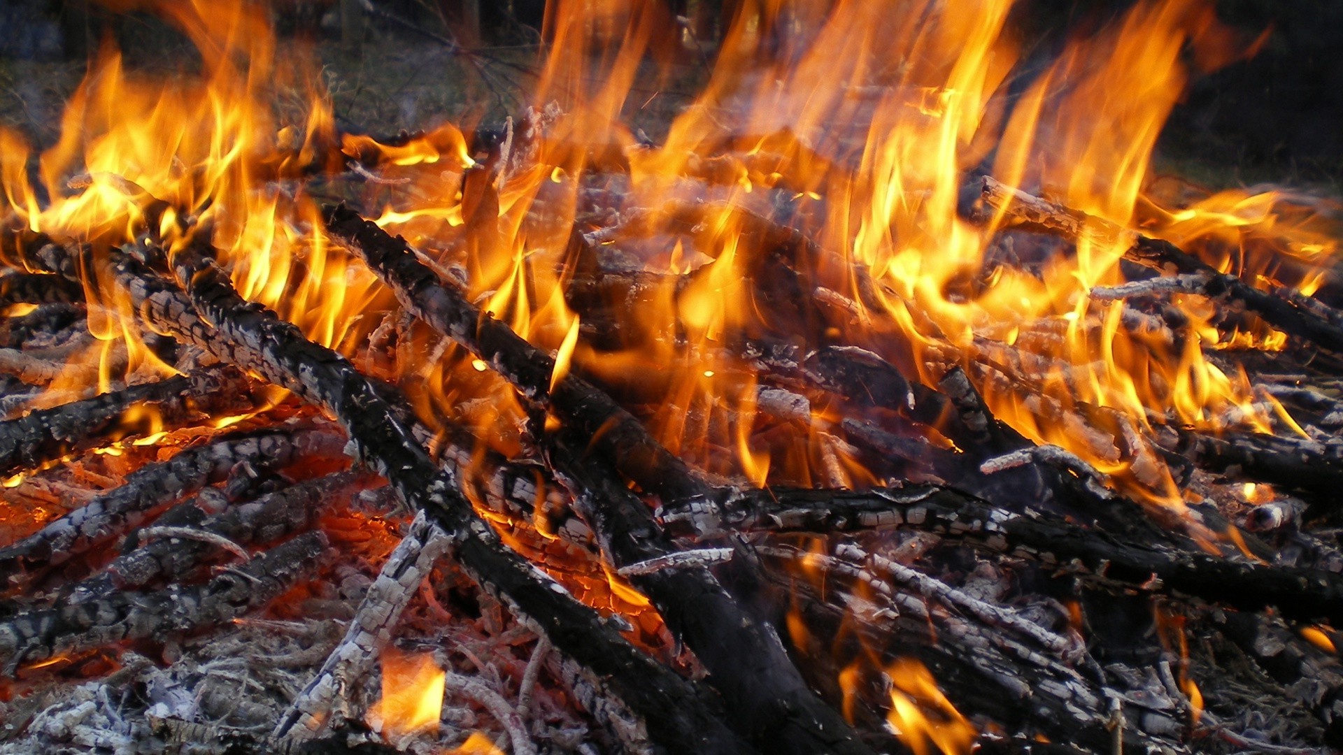 fiamma falò falò calore carbone camino bruciare carbone legna da ardere cenere caldo inferno calore fumo fiammata infiammabile accendere fuoco temperatura campo