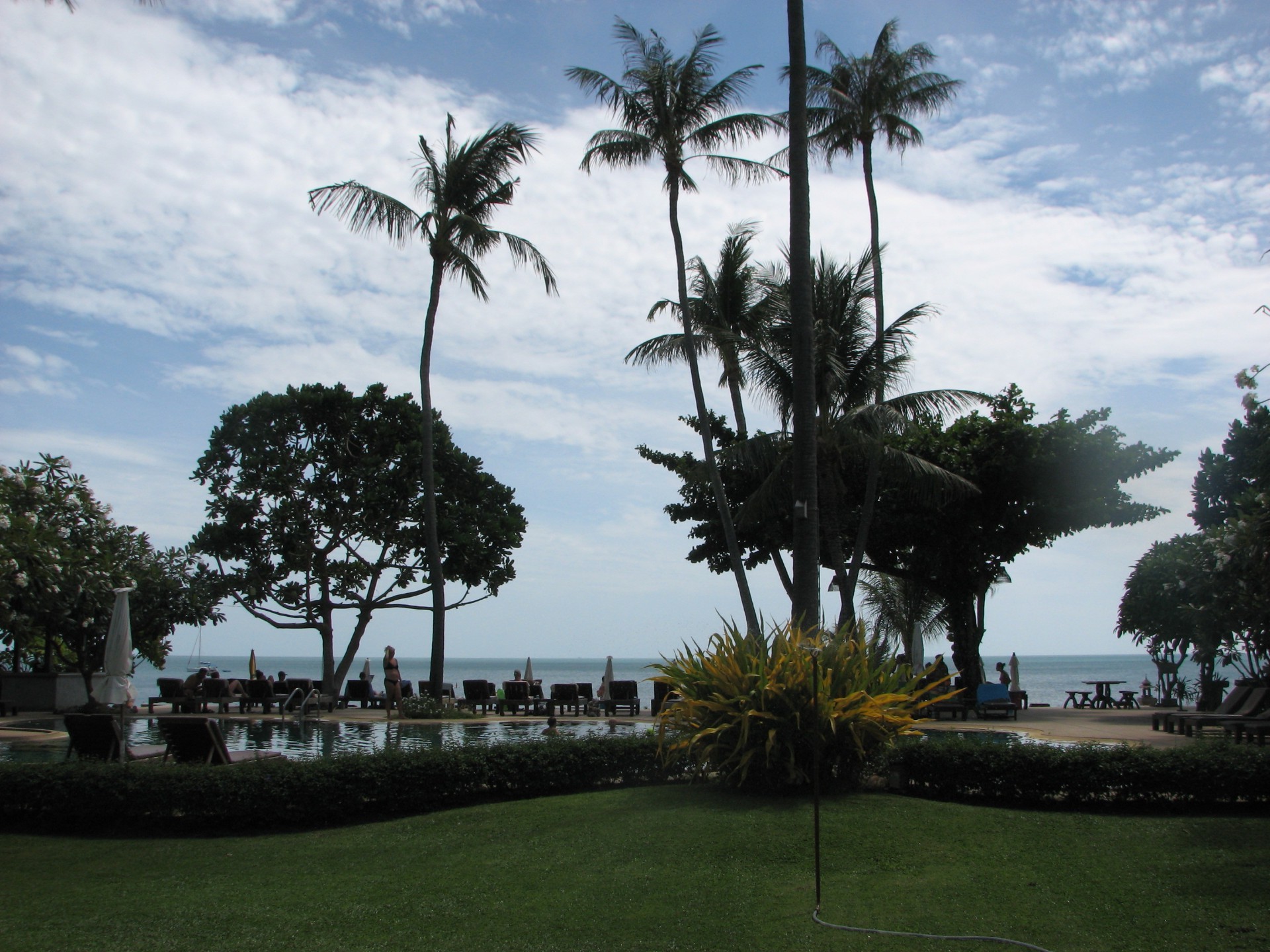 albero palma resort vacanze viaggi tropicale vacanze hotel vacanze acqua luce del giorno isola spiaggia turismo mare all aperto cielo lusso parco