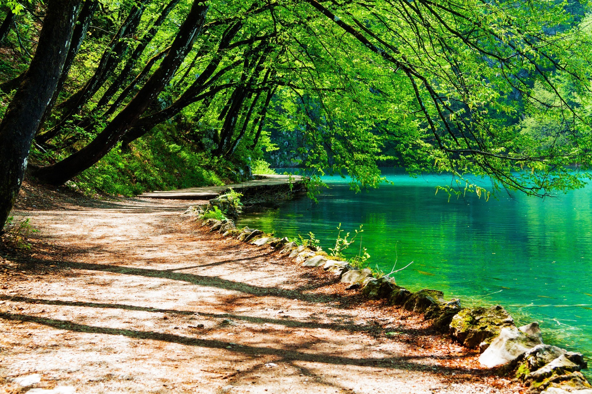 legno natura acqua albero paesaggio foglia estate all aperto scenico bel tempo parco stagione viaggi paesaggio freddezza sole lussureggiante scena