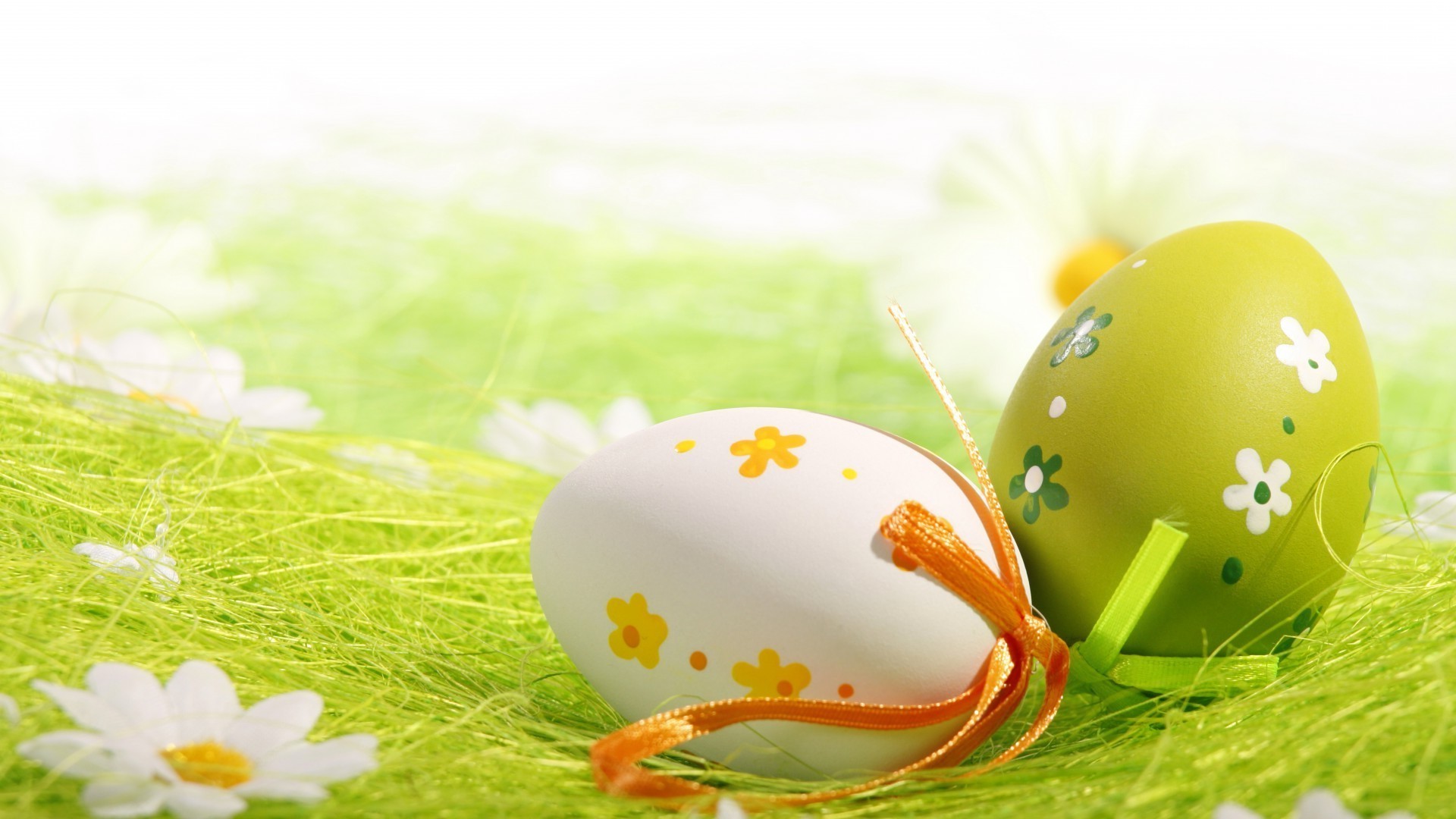 pasqua uovo natura erba fiore desktop luminoso vacanza uovo di pasqua cibo stagione decorazione