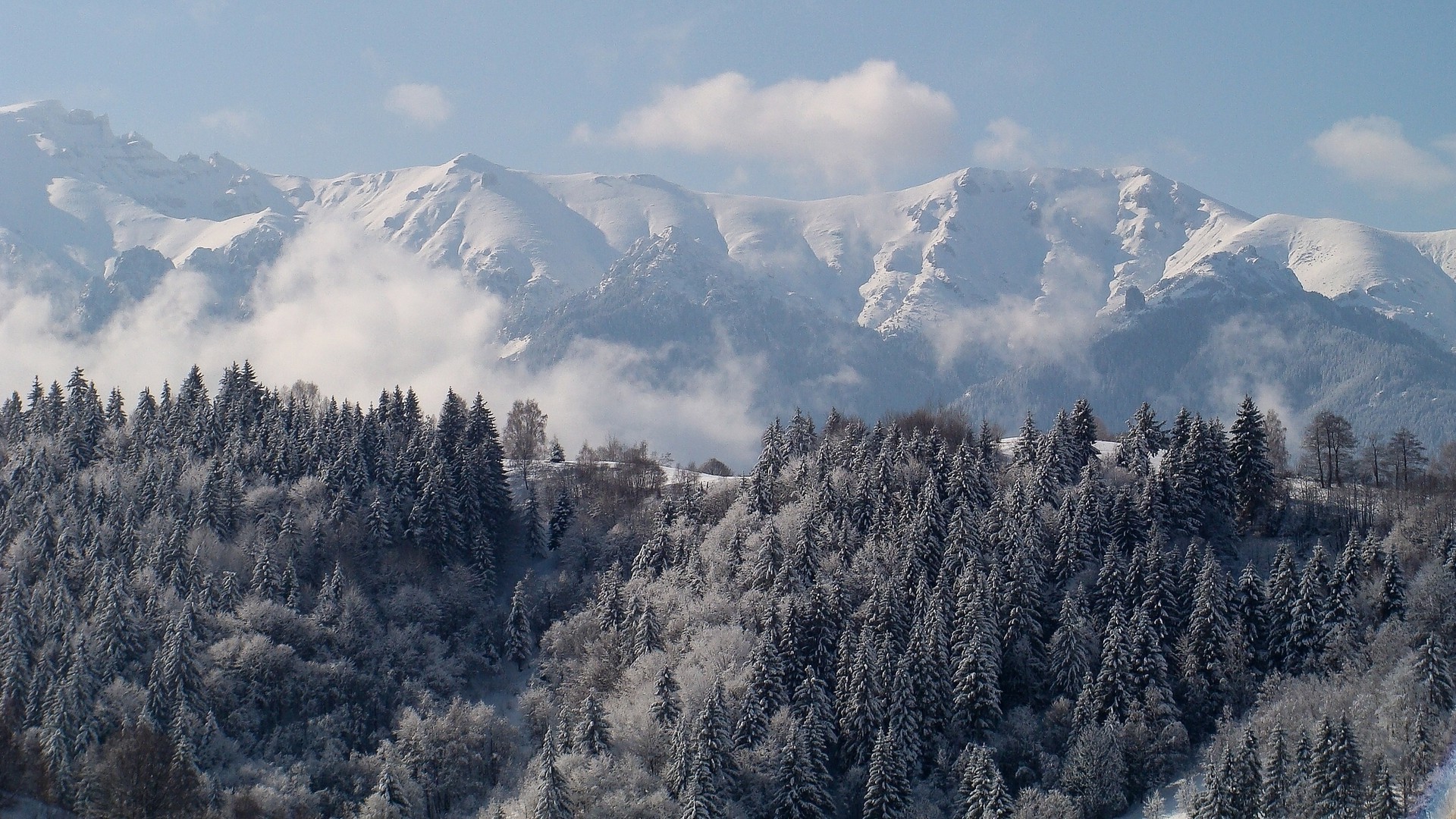 neve montagna inverno viaggi ghiaccio legno paesaggio freddo cielo all aperto nebbia natura