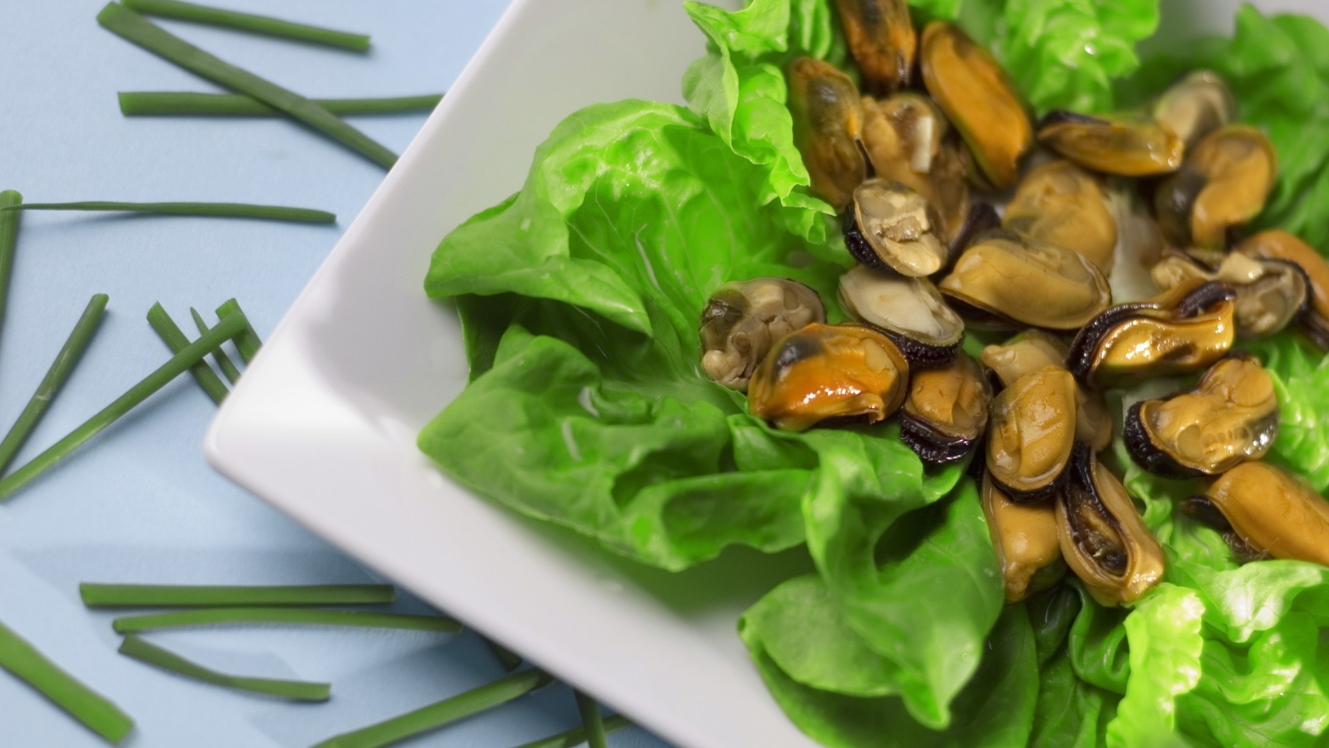 cibo sano verdura cibo cucina foglia cucina salute dieta insalata cibo cena primo piano piatto pranzo delizioso epicuro desktop delizioso