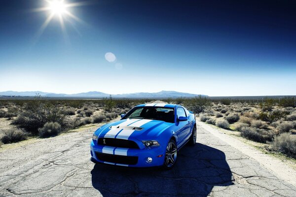 Auto sportiva. Blu brillante con strisce bianche