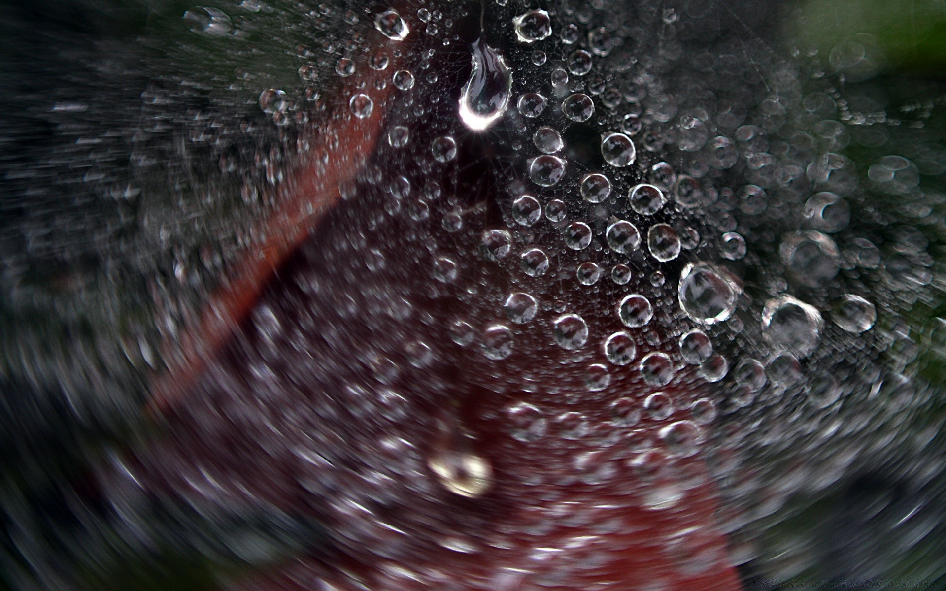 macro pioggia bagnato goccia rugiada acqua bolla gocce pulito waterdrop splash liquido gocce riflessione chiaro pulito bere splende vetro lavare