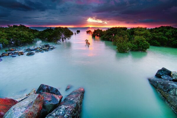 Acqua di betulla che va in mare al tramonto