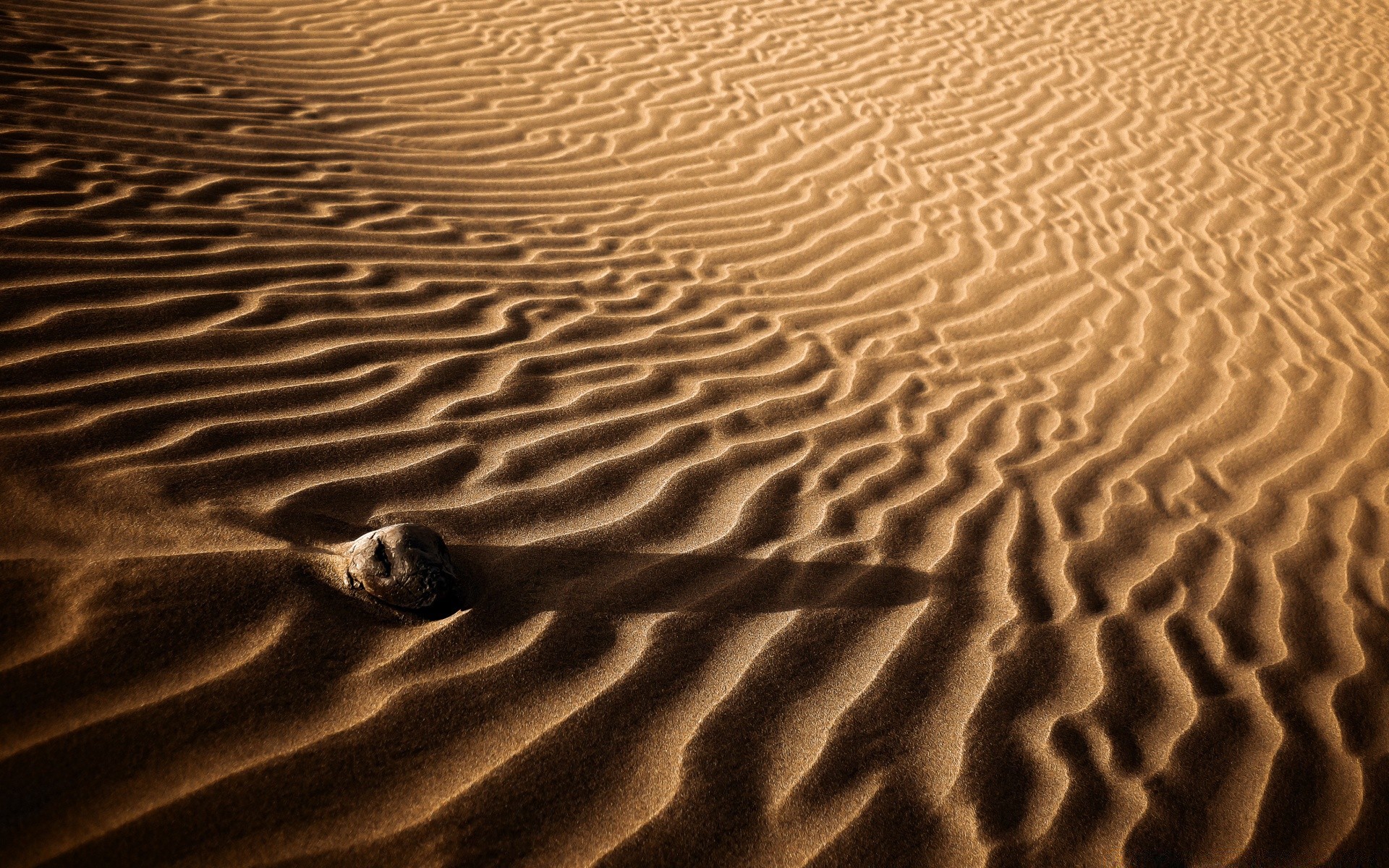 deserto sabbia spiaggia sterile impronta uno duna texture mare onda aride ondulazione modello secco desktop ombra