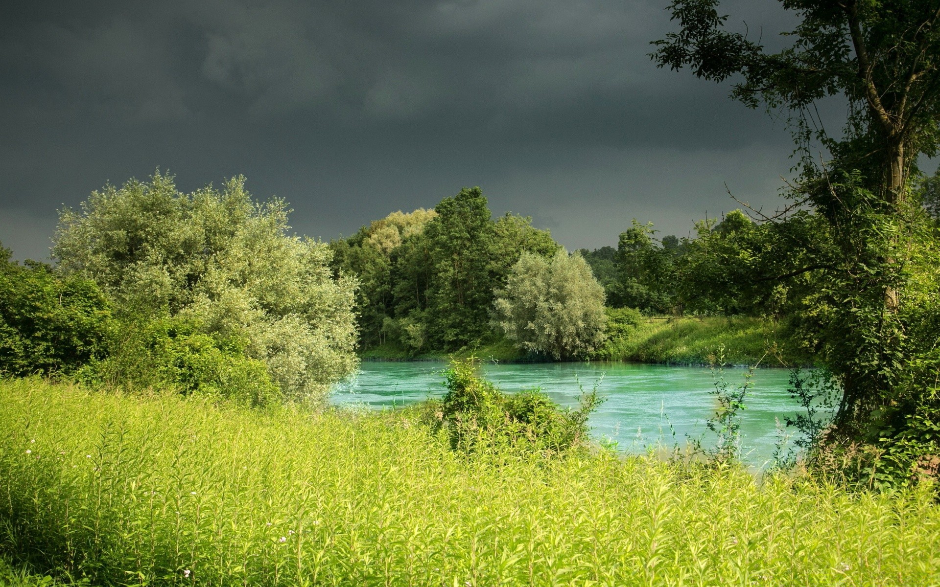 paesaggio paesaggio albero natura acqua erba estate legno lago all aperto cielo fiume riflessione pittoresco rurale idillio fieno campagna ambiente spettacolo