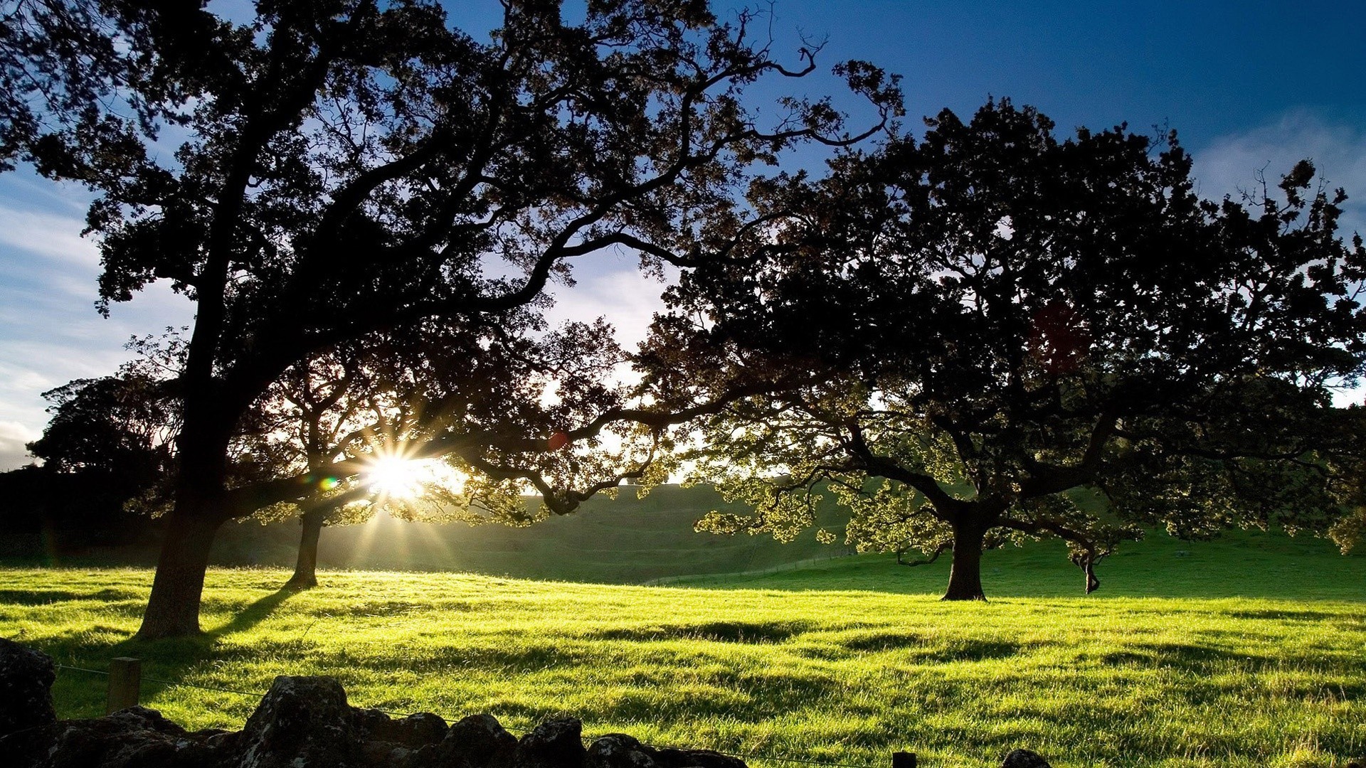 paesaggio albero paesaggio erba natura sole campagna bel tempo all aperto foglia estate campo rurale fieno parco luminoso alba