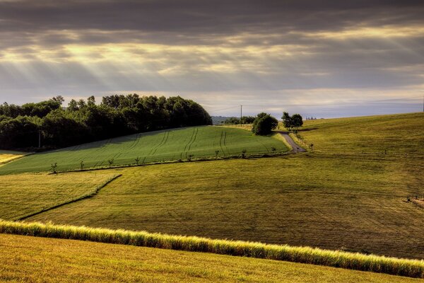 Campi agricoli e terreni agricoli