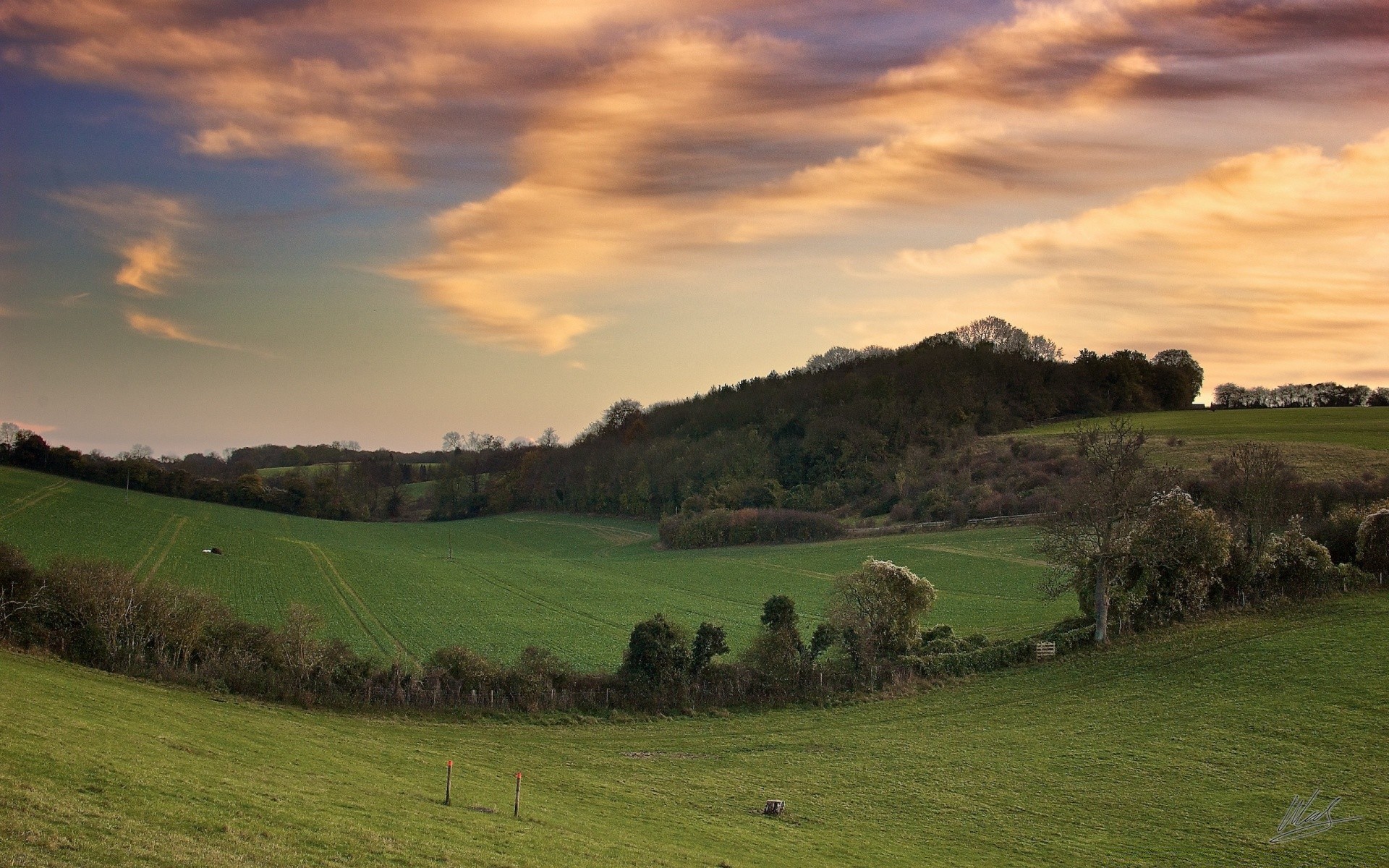 paesaggio paesaggio agricoltura erba campagna all aperto pastorale natura albero cielo terra coltivata rurale pecore pascolo fattoria collina tramonto pascolo viaggi fieno