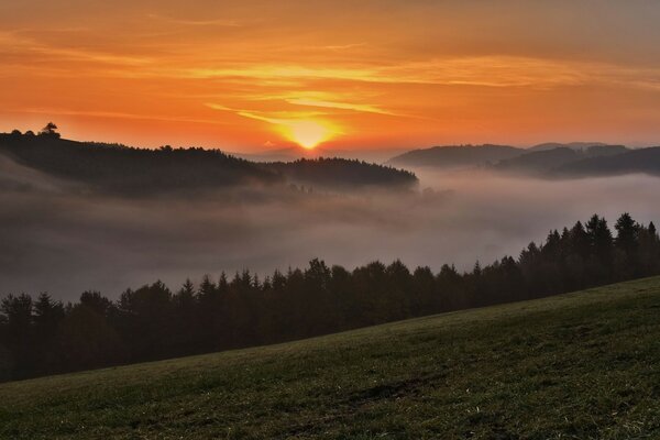 Tramonto in montagna sopra la nebbia nella foresta