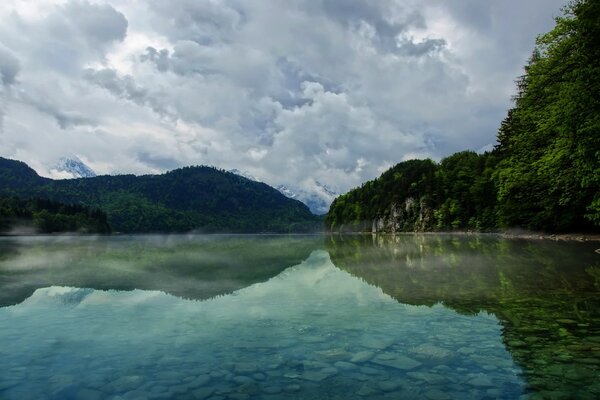 Paesaggio lago nella foresta più spesso