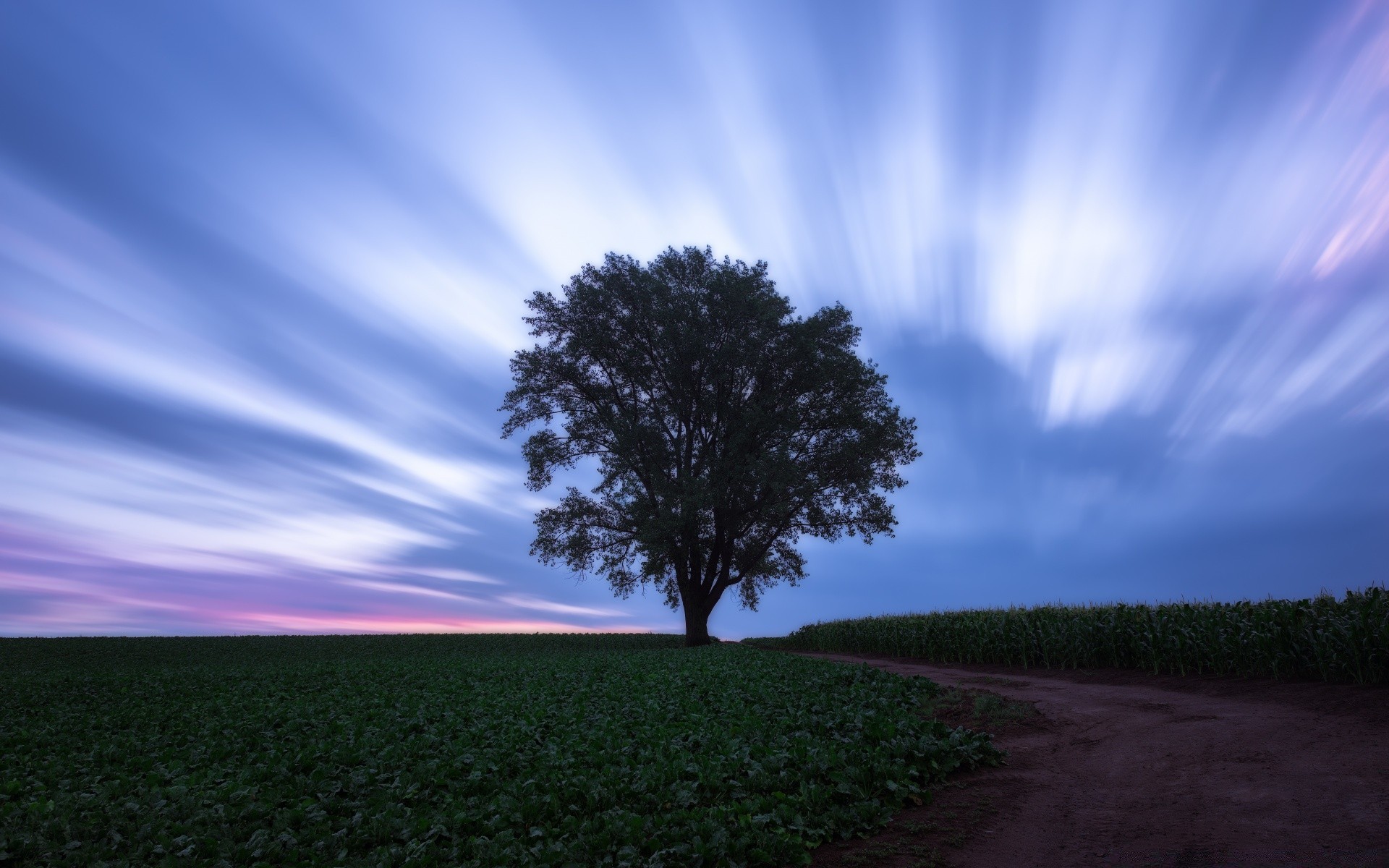 cielo paesaggio natura sole albero cielo alba tramonto campagna bel tempo rurale all aperto erba campo luce sera estate