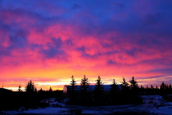 Tramonto invernale foresta selvaggia