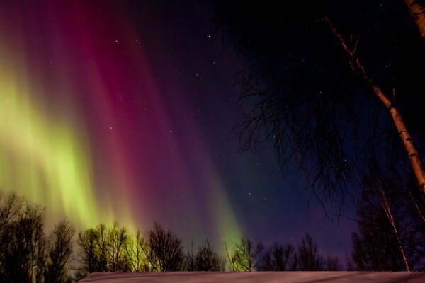 Aurora boreale nel cielo notturno