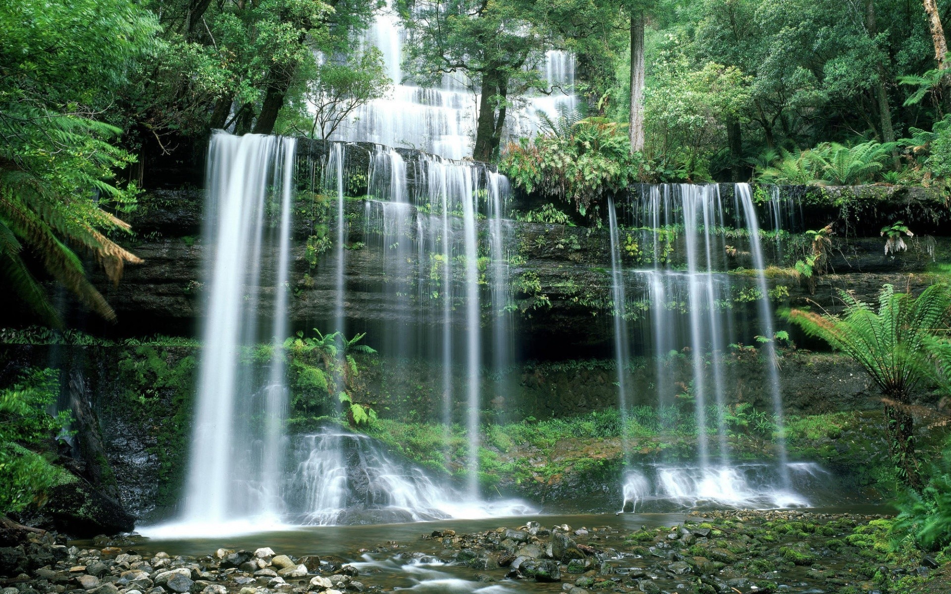 cascate acqua natura cascata bagnato foglia legno fiume tropicale flusso estate ambiente all aperto cascata pulito lussureggiante autunno flora selvaggio parco