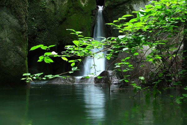 Piccola cascata vicino al lago della foresta