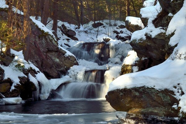 Bella cascata nella foresta invernale