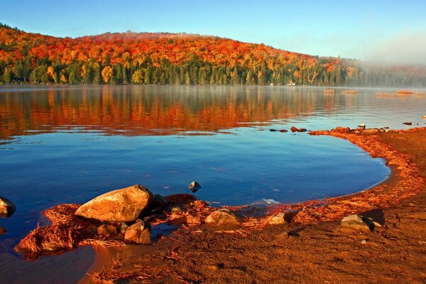 Superficie d acqua sullo sfondo della foresta autunnale
