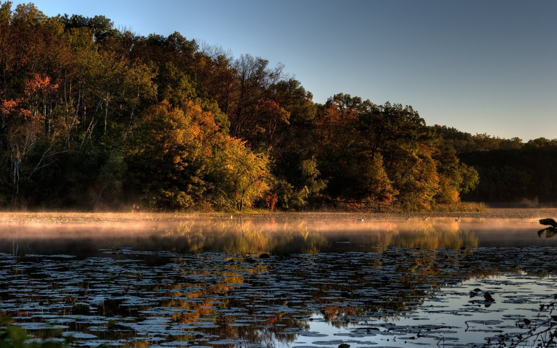 autunno acqua paesaggio albero autunno natura alba lago tramonto fiume all aperto riflessione legno cielo sera
