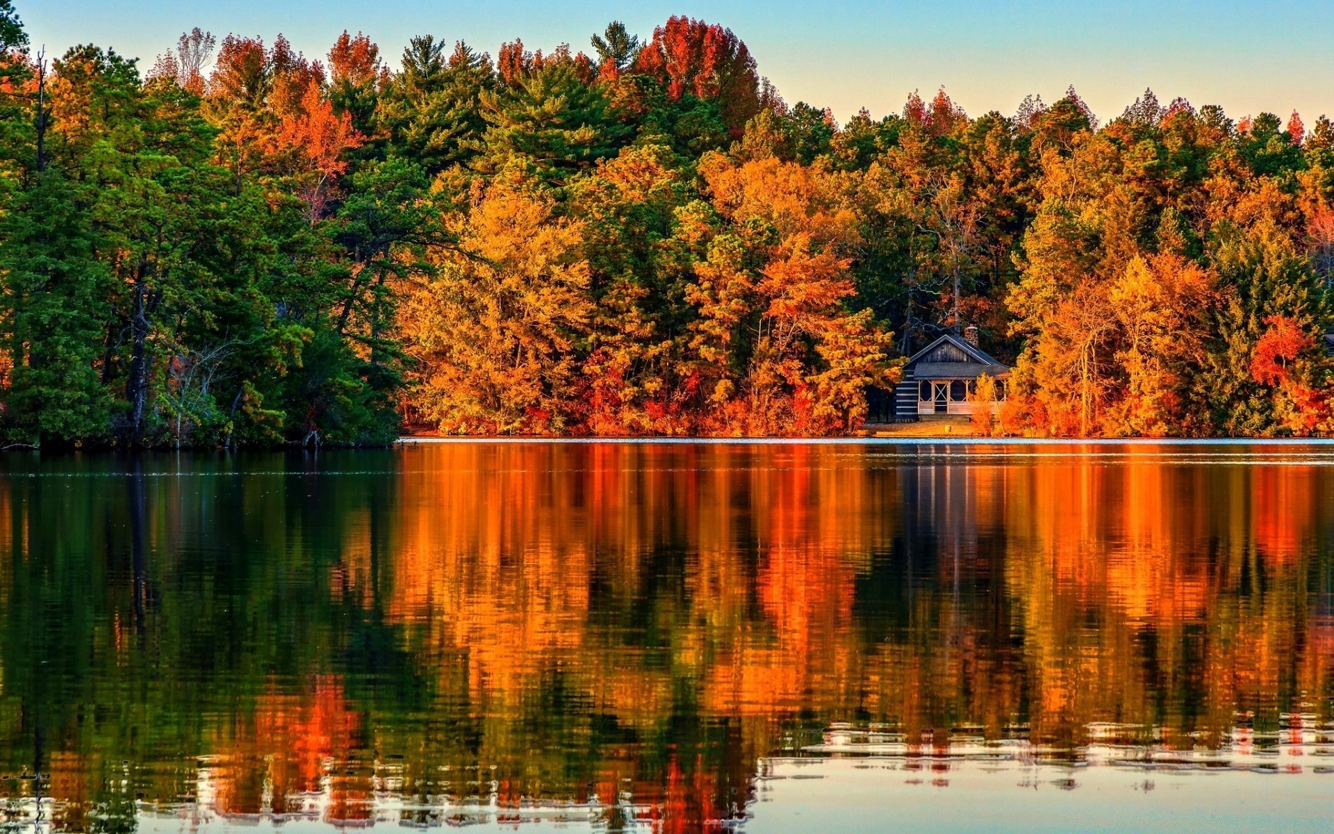 autunno autunno acqua lago natura albero riflessione fiume all aperto foglia di legno paesaggio parco cielo stagione scenic viaggi oro
