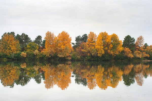 Paesaggio della foresta autunnale sul lago