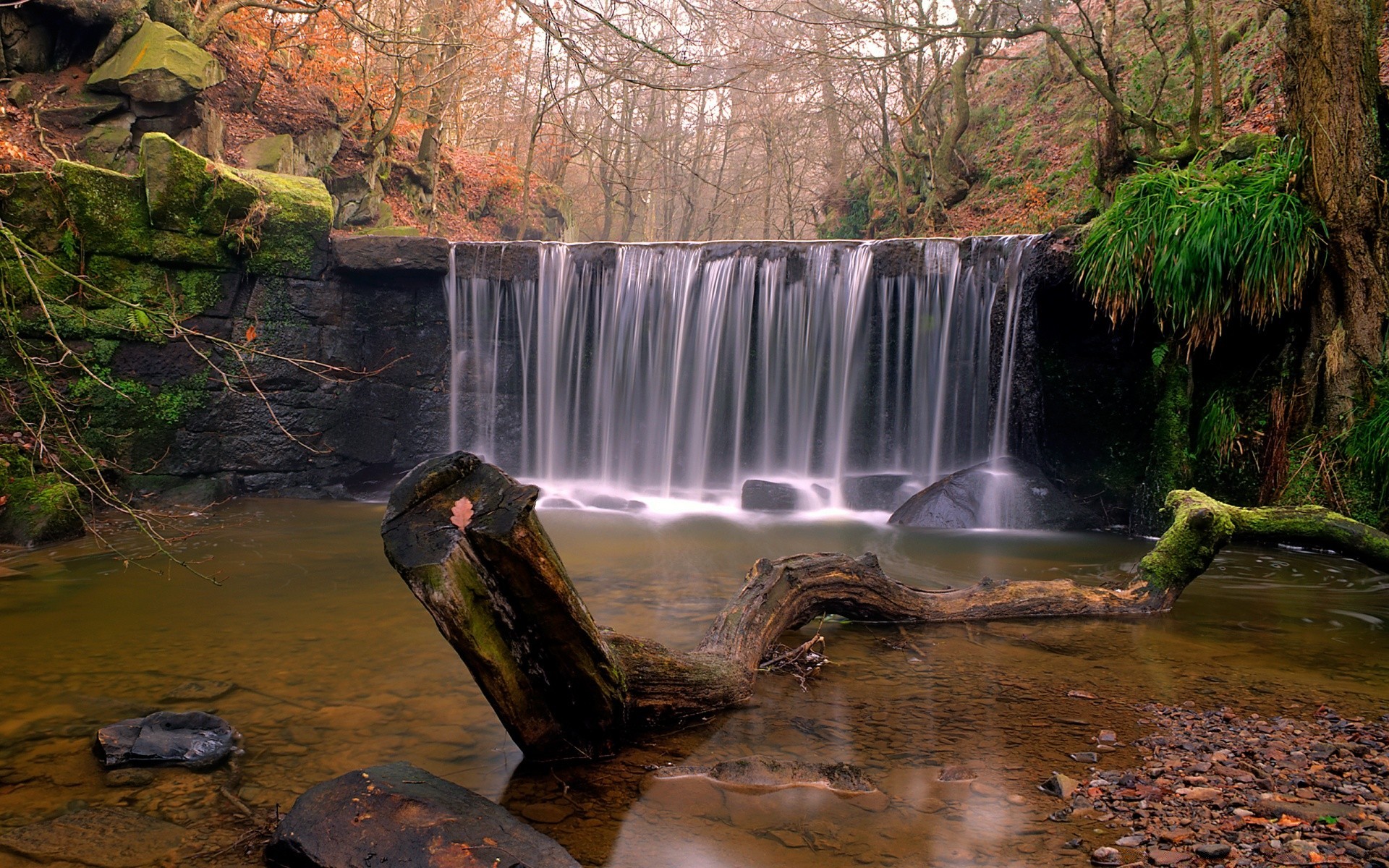 autunno acqua cascata fiume flusso autunno roccia movimento albero natura paesaggio all aperto cascata creek legno viaggio foglia flusso ambiente parco