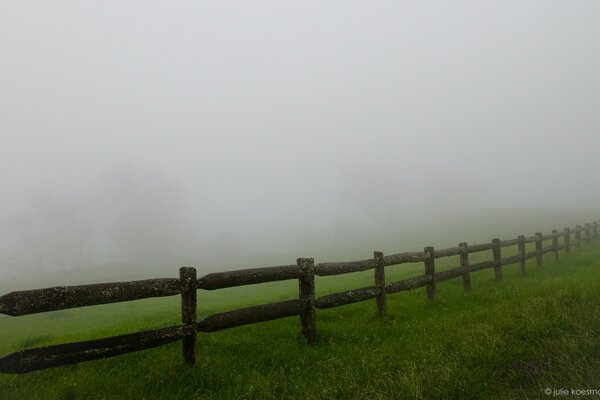 Recinzione in legno con erba verde nella nebbia