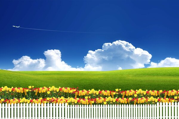 Paesaggio primaverile estivo rurale