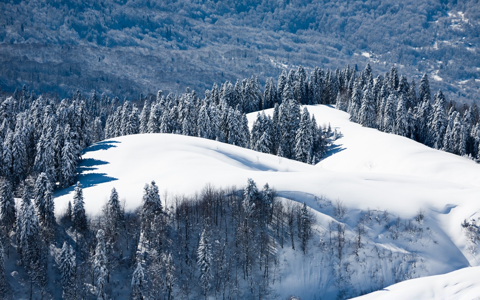 inverno neve montagna freddo scenico ghiaccio legno paesaggio nevoso gelo congelato collina resort picco di montagna stagione meteo alpino albero