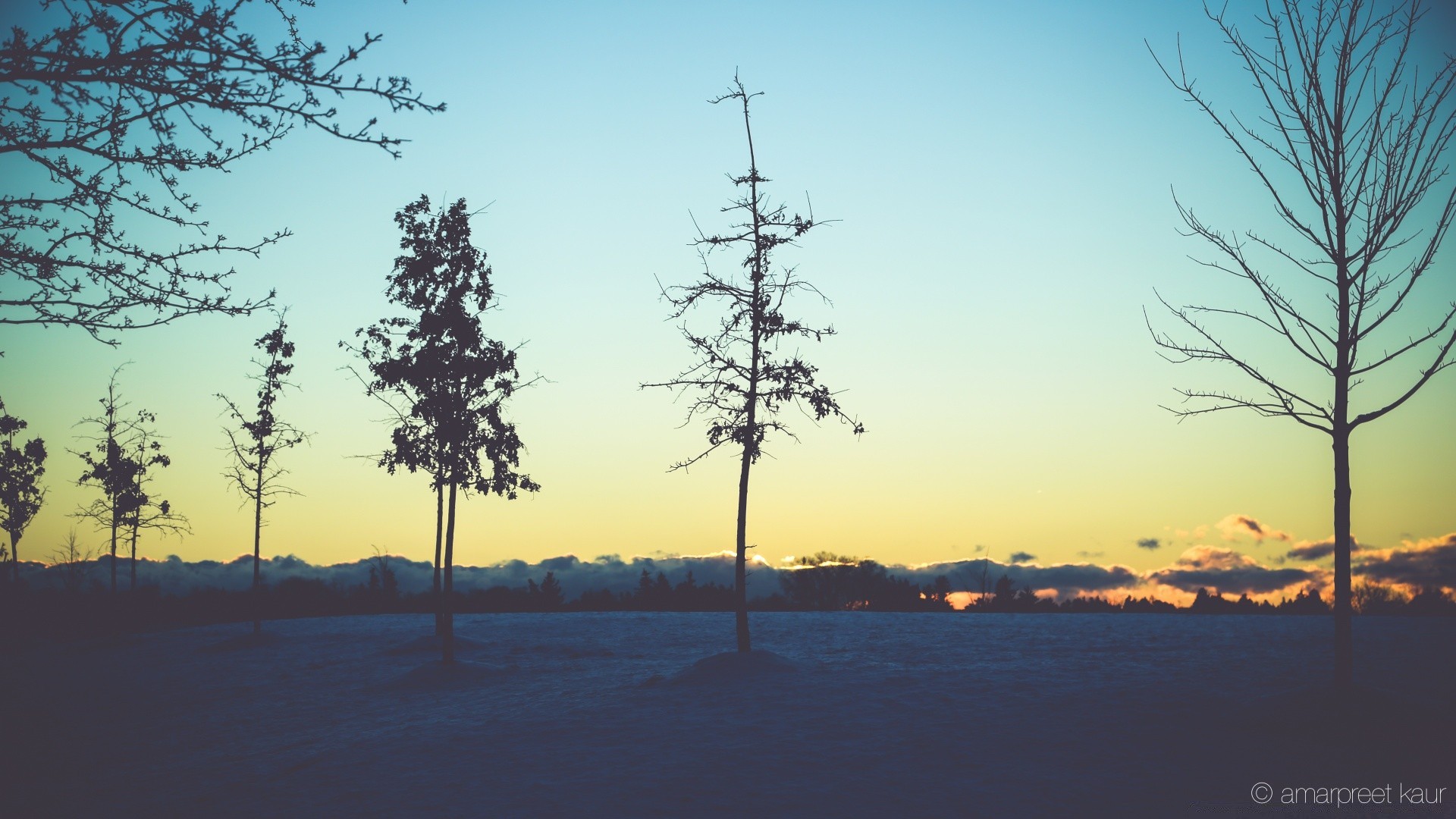 inverno legno natura paesaggio cielo all aperto alba legno meteo nebbia neve tramonto ambiente bel tempo