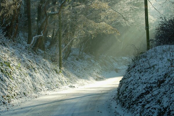 Raggi di sole su un sentiero boscoso in inverno