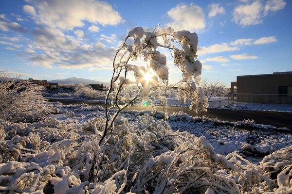 Paesaggio naturale del cielo invernale e dell acqua ghiacciata
