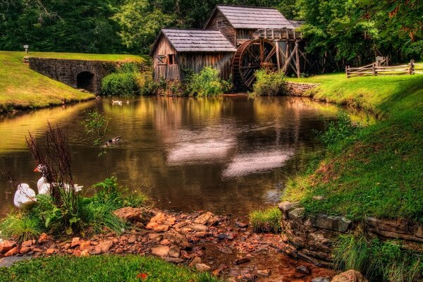 Bella casa con mulino a vento sulla riva dello stagno