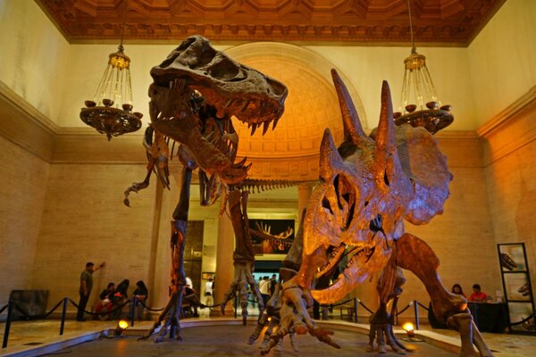 Due sculture di dinosauri nel Museo